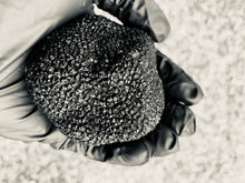 Load image into Gallery viewer, Foraged Black Truffle Vinegar